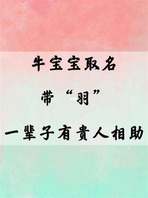 名字有羽|羽字取名的寓意是什么？带羽字的古风唯美名字推荐